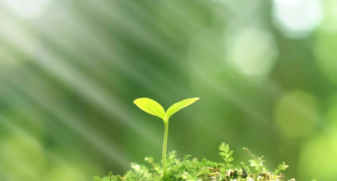 让阅读开出希望的花知了伴读屋落户新疆偏远乡村开创文化扶贫新模式