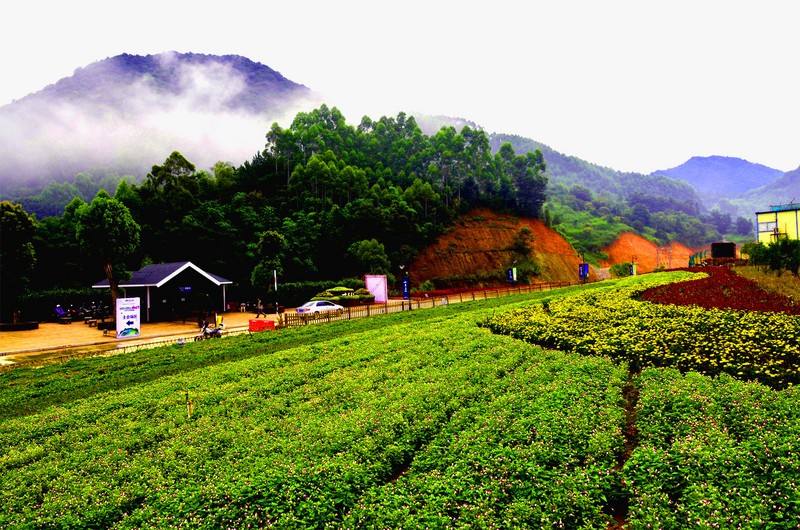 名都华品到长泰游山玩水赏花泡温泉