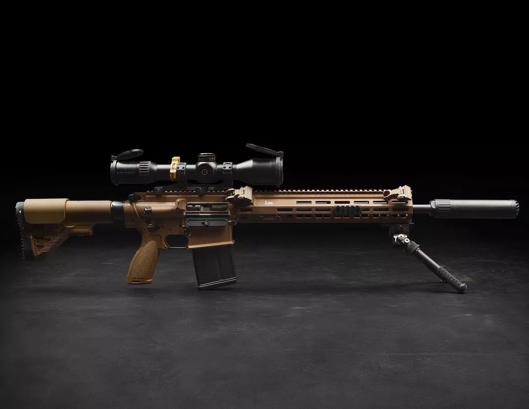 静观其变oss消音器美图欣赏