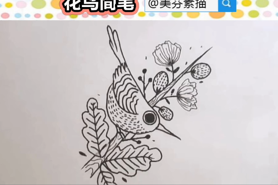 簡單又好看的花鳥黑白線描畫入門教程兒童自學線描畫視頻教程