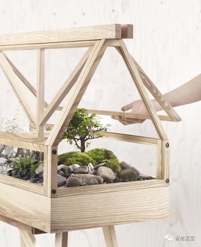 给植物制作简单的小温室之后再也不怕盆栽冻死了