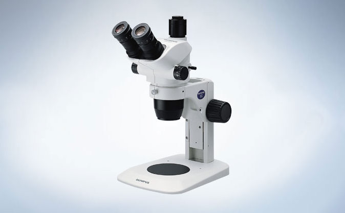 徕卡光学显微镜在绘画作品修复和鉴定领域徕卡体视显微镜文物修复行业