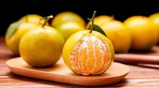 orange不是橘子别再乱叫了