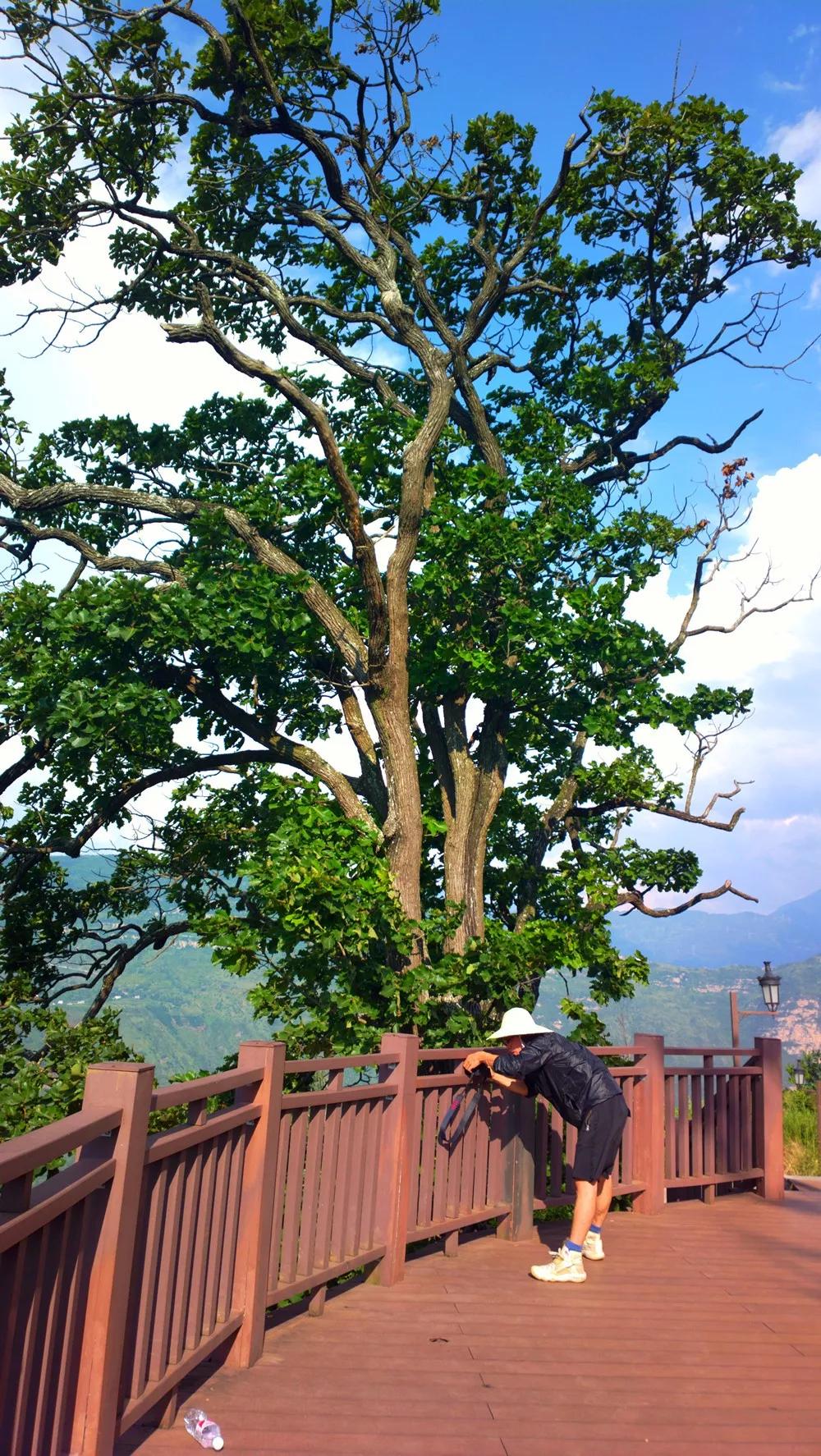 永善这里好吃好玩还很美你去过没