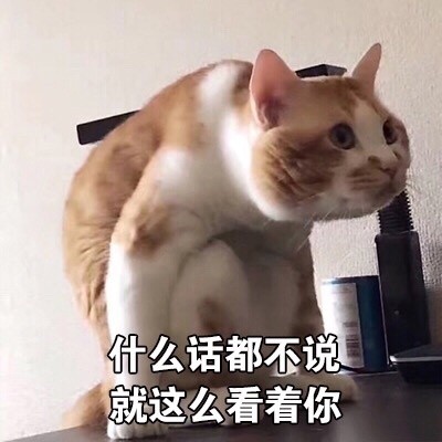 什么话都不说就这么看着你