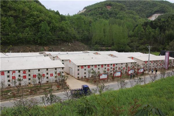 西峡县米坪镇:百企帮百村同心助脱贫