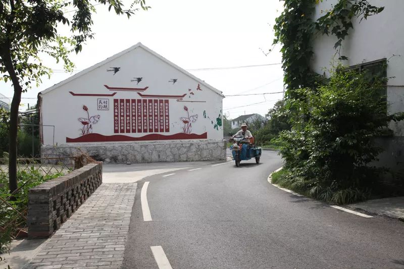 第二届镇江市最美乡村申报村风采展示丹阳市访仙镇红光村