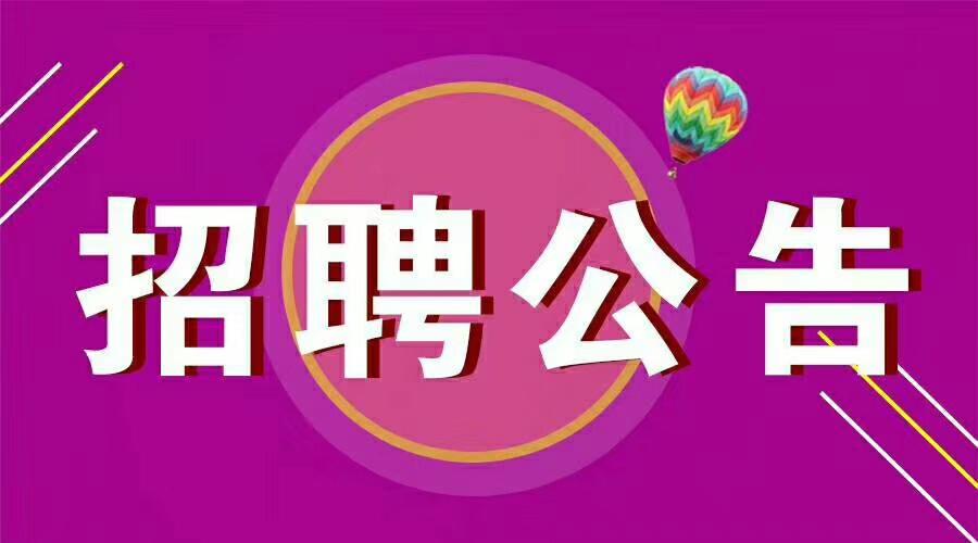 事业单位大型招聘共907人!