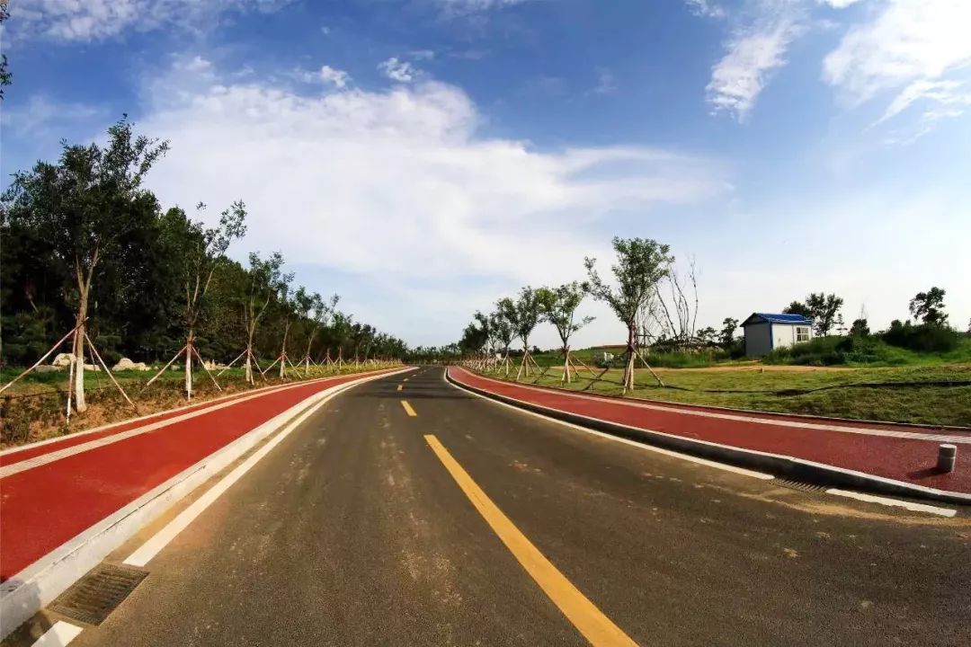 密织成网,新城140公里绿道网规划获批实施