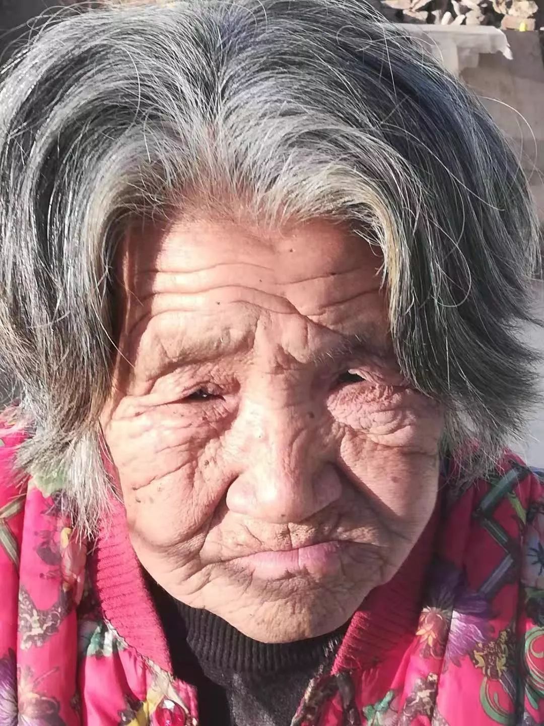 特别丑的老奶奶照片图片