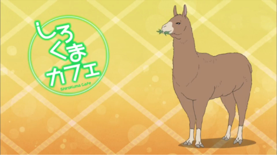 热爱吃草羊驼是熊猫在动物园的同事,时常来咖啡厅和大家聊天,没有什么