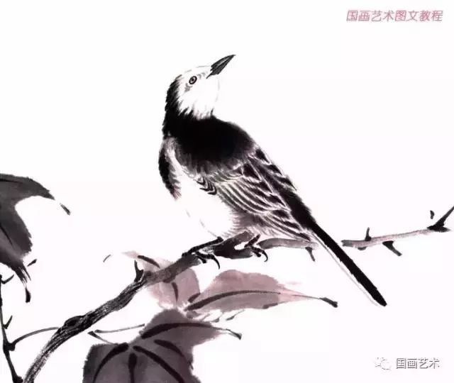 幾種雀鳥的寫意畫法