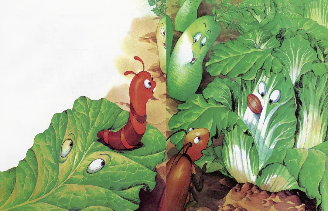 菜青虫找妈妈|朵妈讲故事no.572