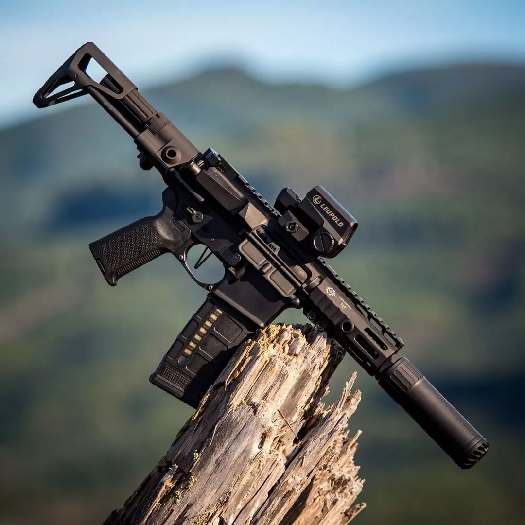 静观其变oss消音器美图欣赏