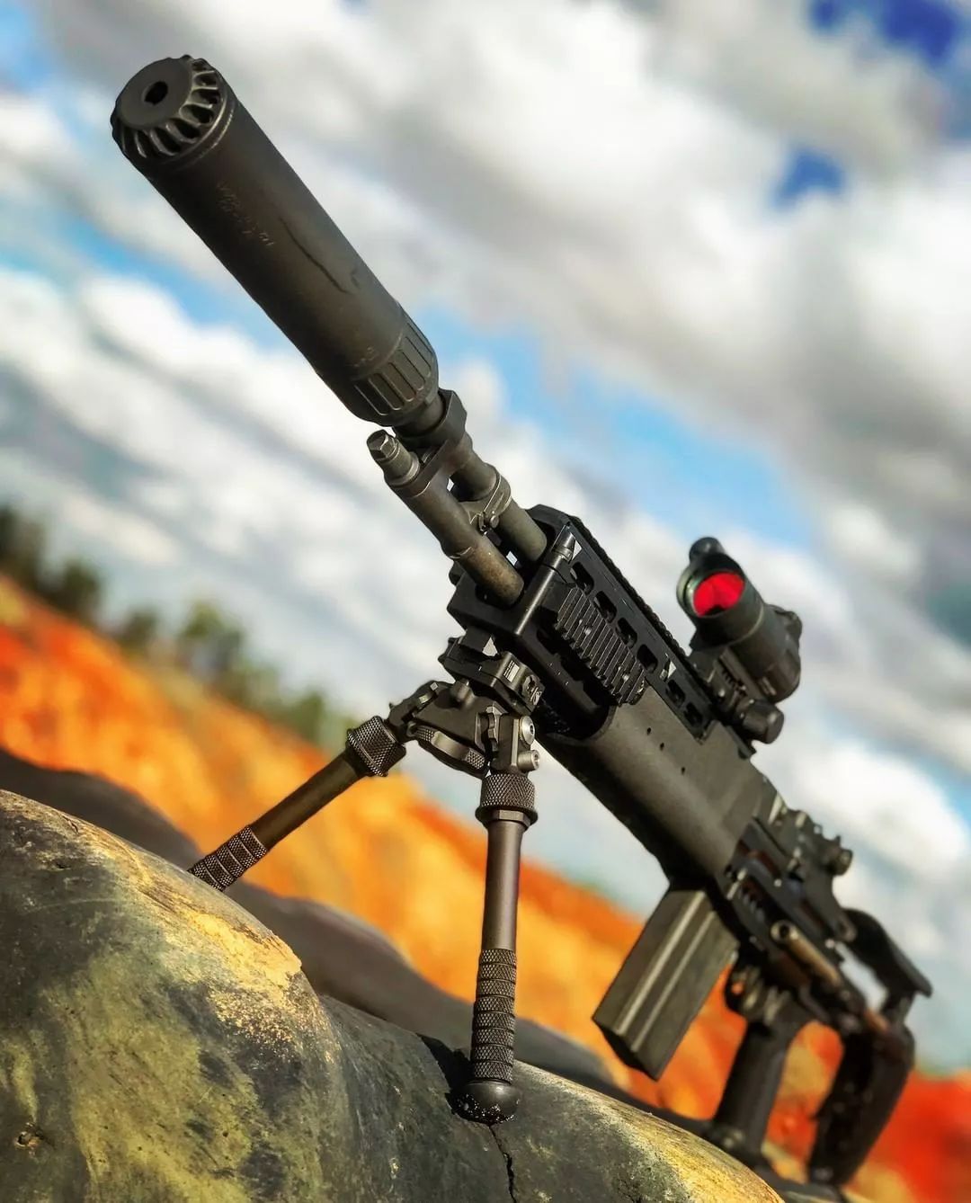 静观其变oss消音器美图欣赏