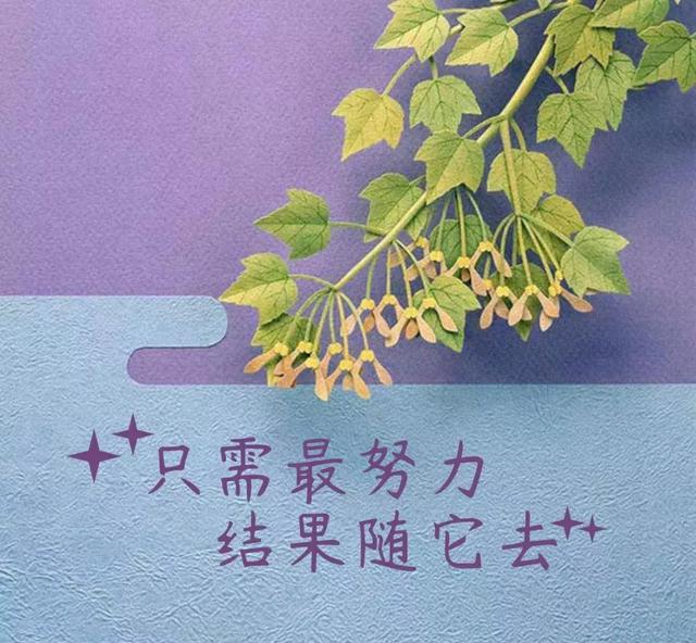 生活并不缺少快乐缺少的是感悟快乐的心灵早安
