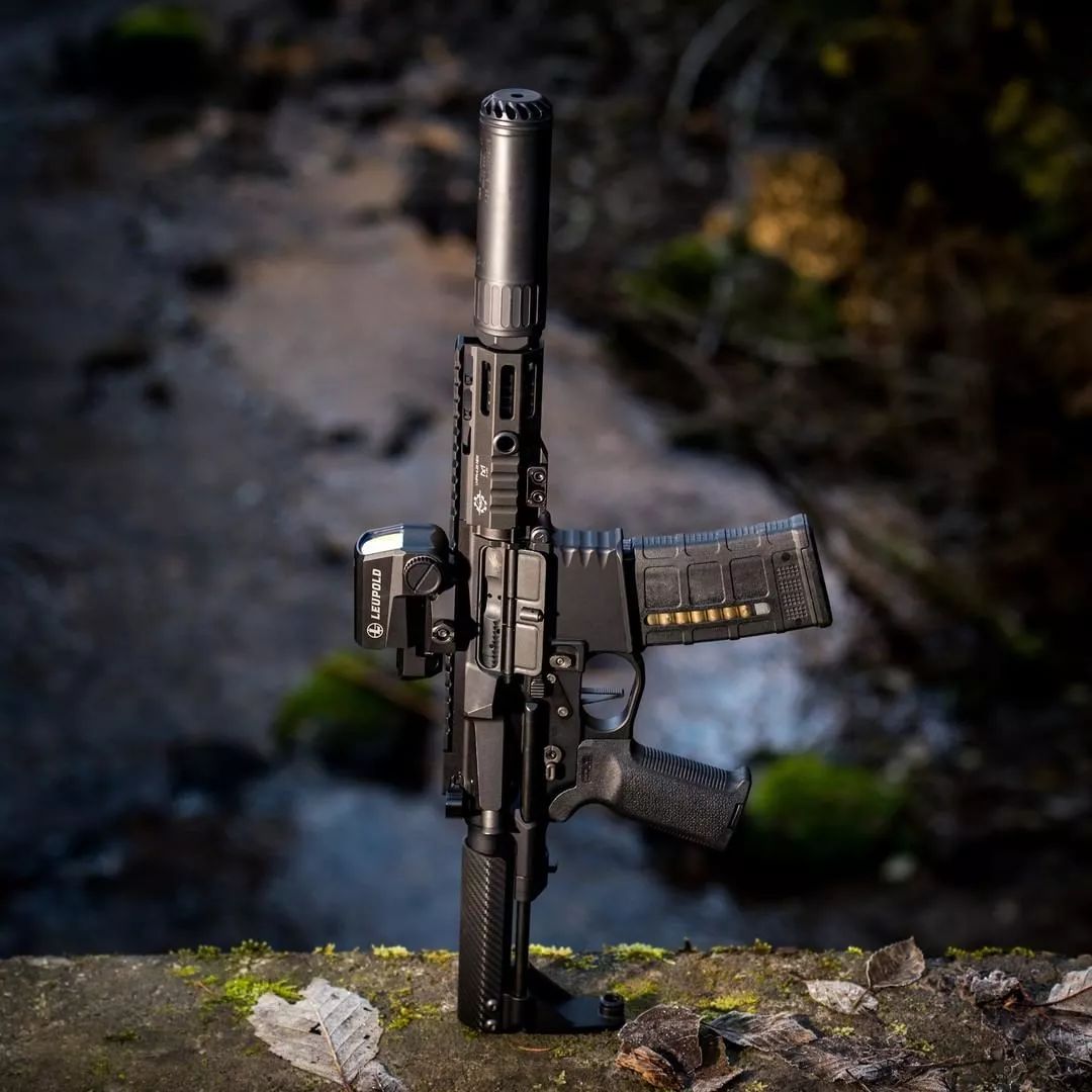 静观其变oss消音器美图欣赏