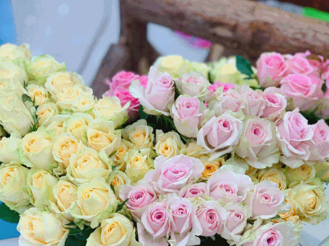 ▼本次鲜花有彩色满天星,百合花,玫瑰花,康乃馨还有新品种红豆,粉豆.