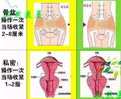 女性照片放大阴山图片