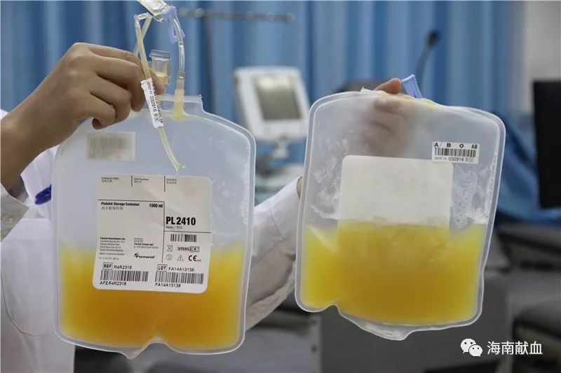 还要保证全年单采血小板和血浆采集总量不超过10l