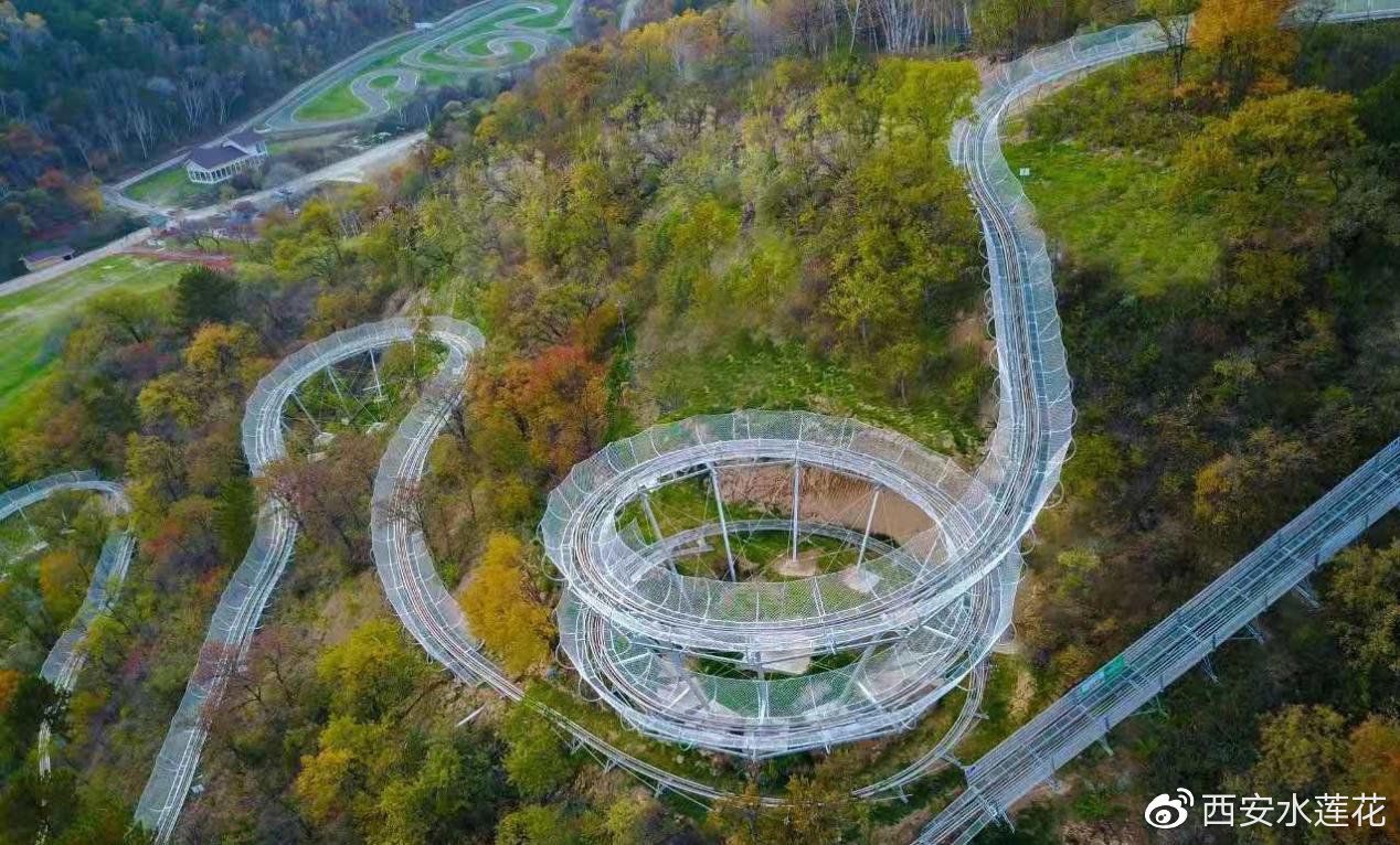 树顶漫步第三届中德自然教育国际论坛暨中德自然教育研究院成立