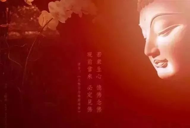 佛说:苦才是人生._智慧