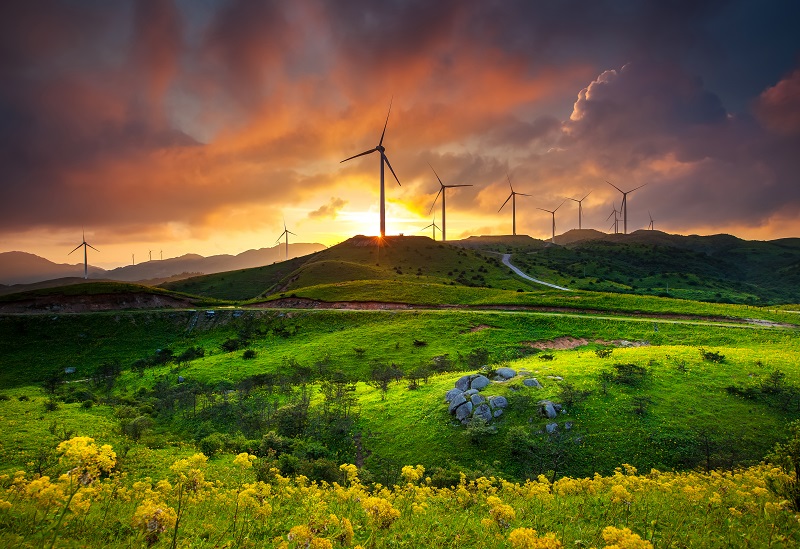 十里平坦美成童话