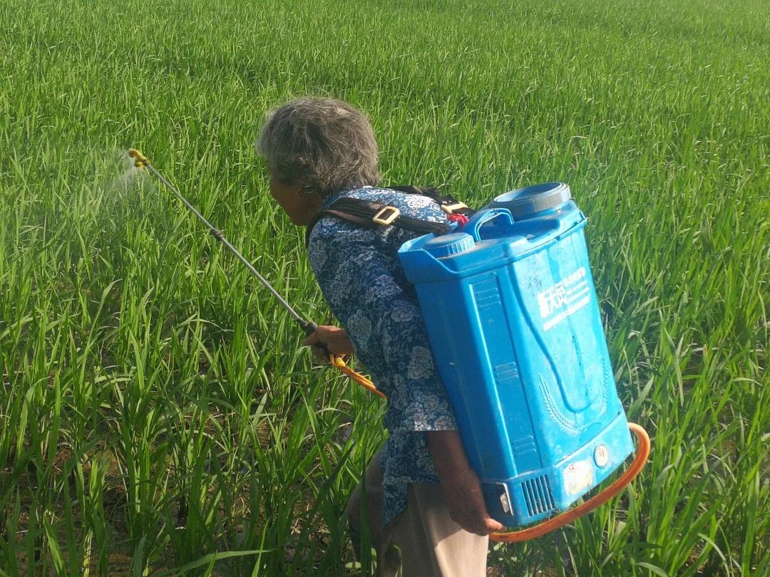 金正大集团21周年特辑(六)丨为你 我们整合了全世界_金丰