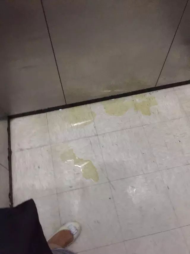 关于镇平县不文明养犬的行为大家是否支持整治呢