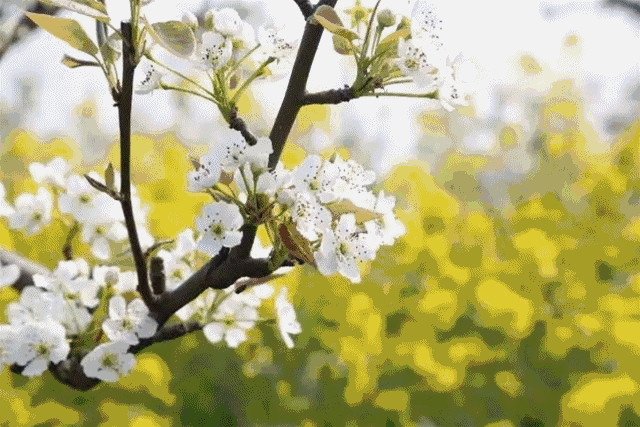 640_427gif 动态图 动图