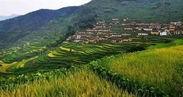 乡村景观：乡土元素与景观营造_生活
