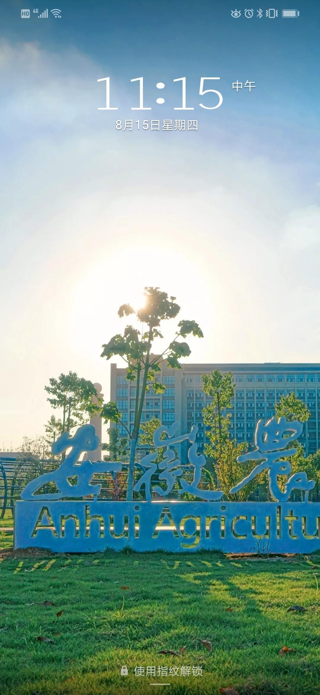 校园壁纸这次我把安农大装进手机里