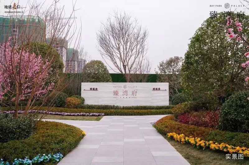 销冠专访生活没有失败只是暂时停止成功事业五部臻湾府杨东凯