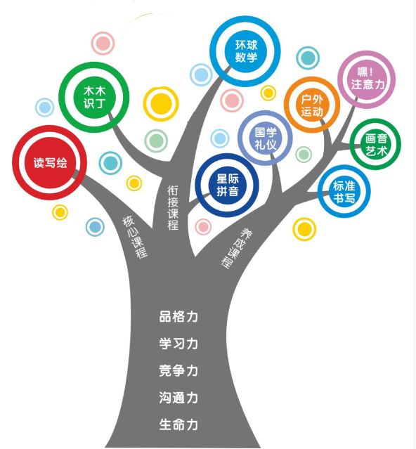 双木桥理念树课程理念&教学特色双木桥采用以"核心素养为本"的教学