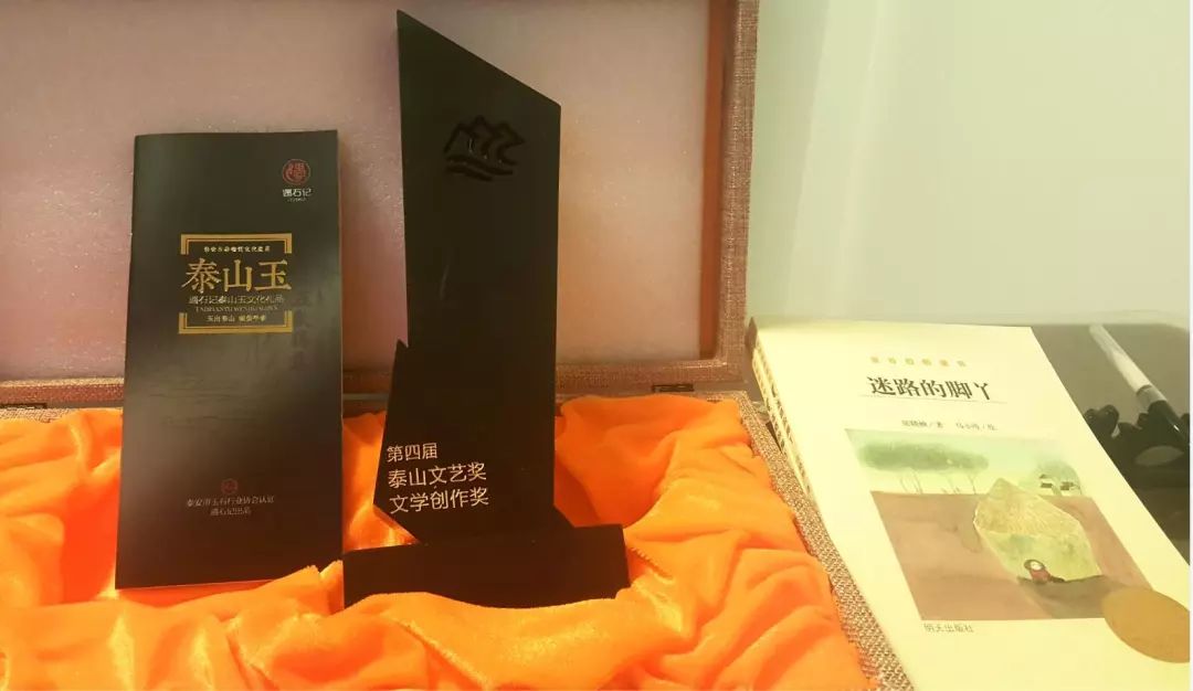 荣誉|《金谷粒桥梁书迷路的脚丫》荣获山东省第四届泰山文艺奖
