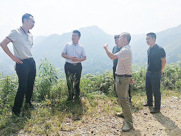 查世海到安谷茶马花贡调研脱贫攻坚工作图文