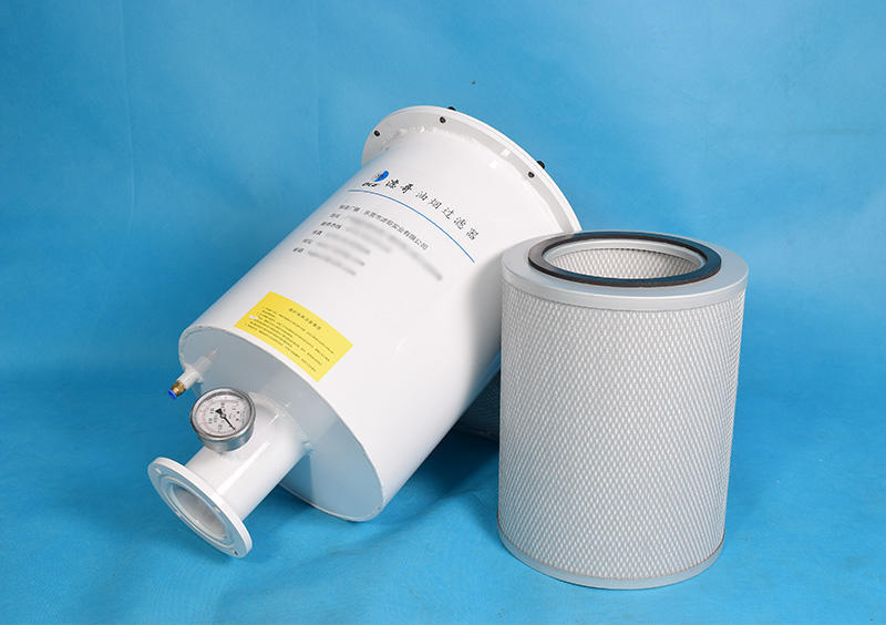 国产真空泵油雾过滤器高性价比替代里其乐普旭莱宝品牌