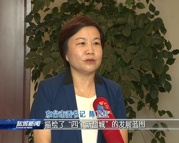 东台市委书记陈卫红:市委七届八次全会描绘了"四个新盐城"的发展蓝图