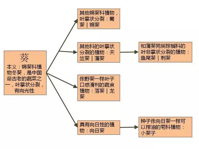 放下那把瓜子!向日葵背后是个悲伤的故事