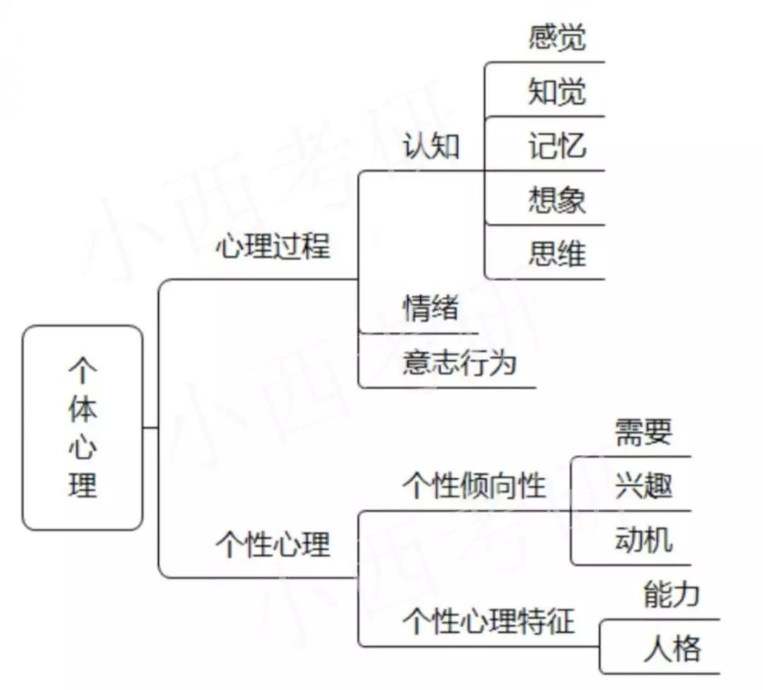 小西考研-20考研在即,心理学概论大热知识点整理!