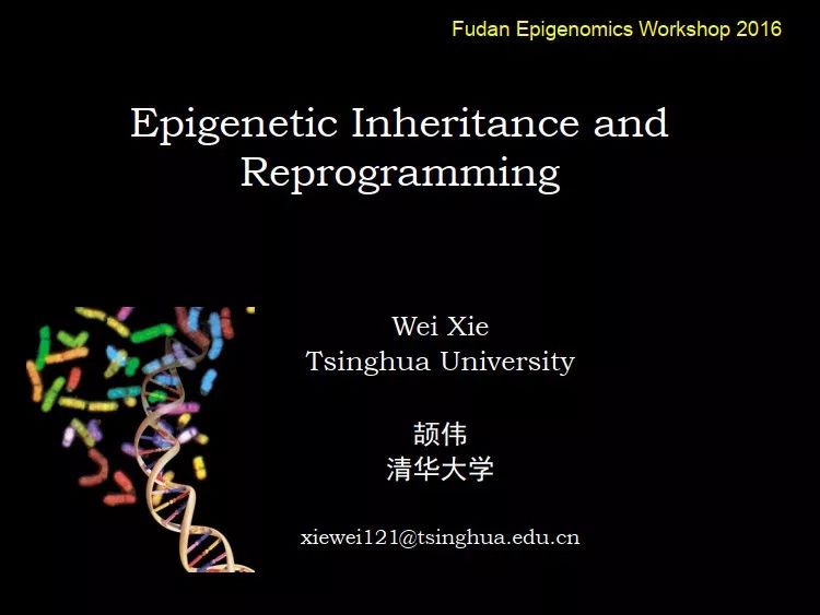 清华颉伟教授告诉你当我们在讨论表观遗传的遗传时我们究竟在讨论什么