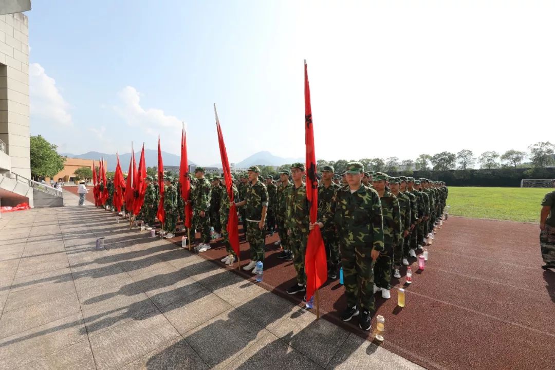 那抹昂扬的绿在阳光下茁壮成长云和中学第三十一期军训剪影