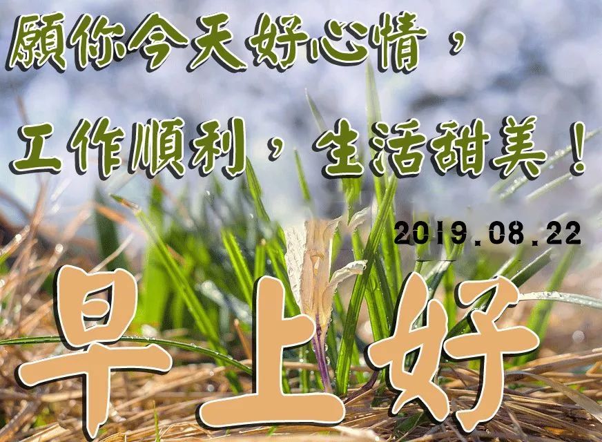 八月早上好表情包早上好陽光祝福句子2019