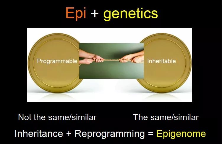 epigenetics 有两个很有意思的特征:可遗传(inheritable),可编程