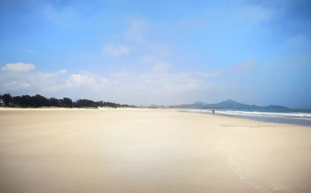 会反射月光海水干净清澈有一类沙滩因沙粒洁白细腻古渔村,芦苇荡,海滩