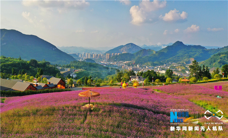 黔北花海又称杉坪花海,位于贵州省桐梓县娄山关镇杉坪村境内,花海占地