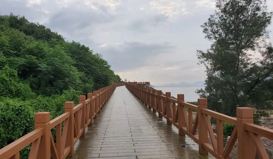 大亚湾乌山头绿道已开放!全长5公里,周末打卡约起!_休闲