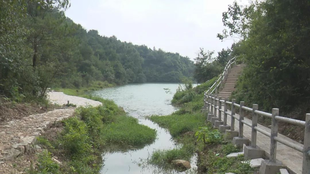 古道61绿树61凉亭61青竹61流水位于福全街道的大雾尖游步道