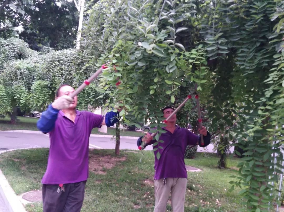 这还是我们的润杰吗