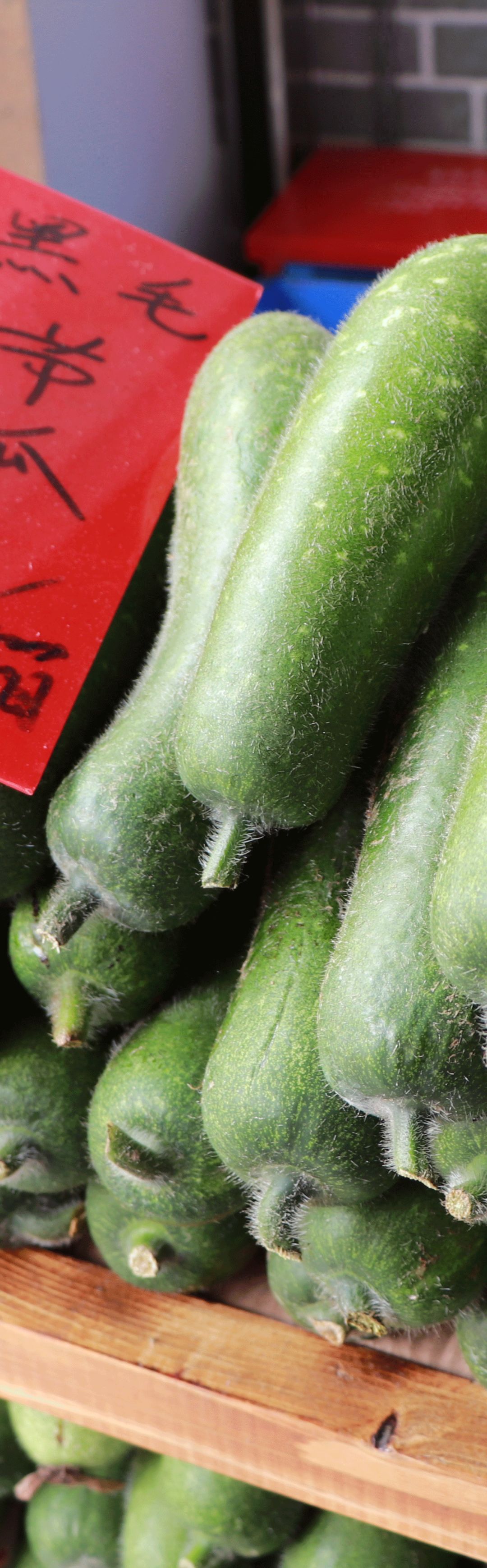 寻味|杏坛一家老厨房,独创【节瓜宴】,样样精致,中意试新嘢的快来!